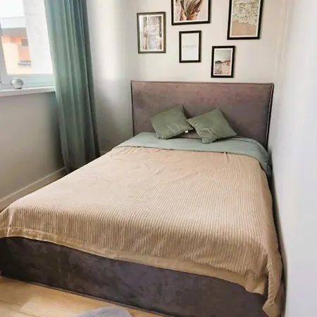 Apartament Apartament 8 Pietro